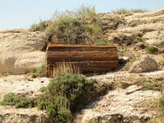 DSCN0718.JPG