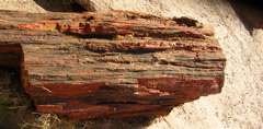 DSCN0719.JPG
