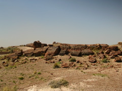 DSCN0720.JPG