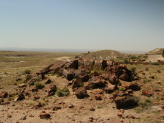 DSCN0721.JPG