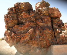 DSCN0728.JPG