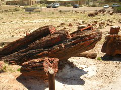 DSCN0734.JPG