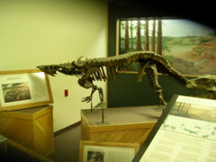 DSCN0739.JPG