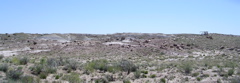 DSCN0002.JPG