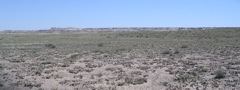 DSCN0001.JPG