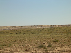 DSCN0741.JPG