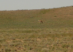 DSCN0743.JPG