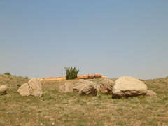 DSCN0744.JPG