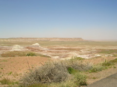 DSCN0745.JPG