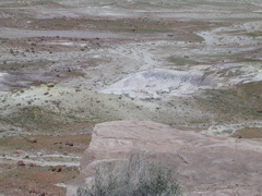 DSCN0001.JPG