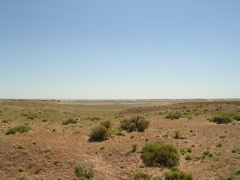 DSCN0751.JPG
