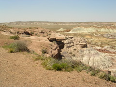 DSCN0753.JPG
