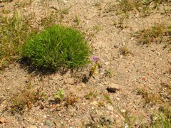 DSCN0754.JPG