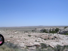 DSCN0002.JPG