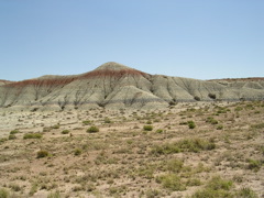 DSCN0763.JPG