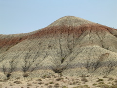 DSCN0764.JPG