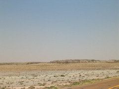 DSCN0766.JPG