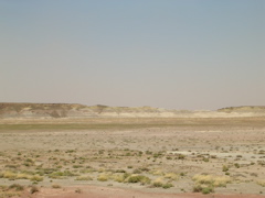 DSCN0767.JPG