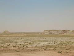DSCN0768.JPG