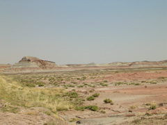 DSCN0769.JPG