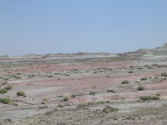DSCN0001.JPG