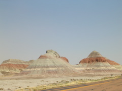 DSCN0770.JPG