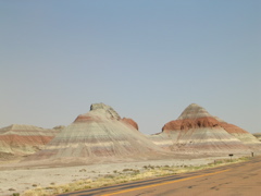 DSCN0771.JPG