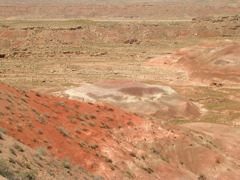 DSCN0776.JPG