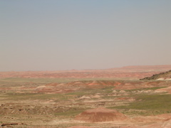 DSCN0778.JPG