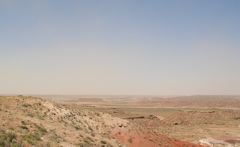 DSCN0781.JPG