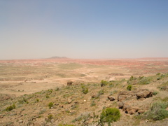 DSCN0782.JPG