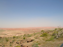 DSCN0783.JPG