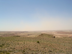 DSCN0784.JPG
