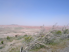 DSCN0003.JPG