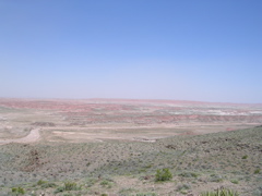 DSCN0005.JPG