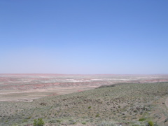 DSCN0006.JPG