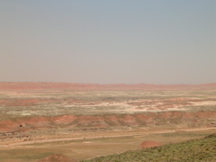 DSCN0785.JPG
