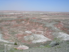 DSCN0003.JPG