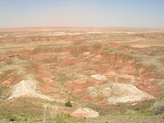 DSCN0793.JPG