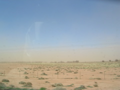 DSCN0002.JPG