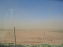 DSCN0797.JPG
