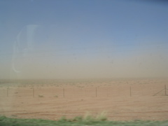 DSCN0798.JPG