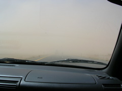 DSCN0803.JPG