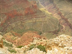 DSCN0826.JPG