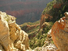 DSCN0631.JPG