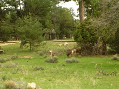 DSCN0833.JPG