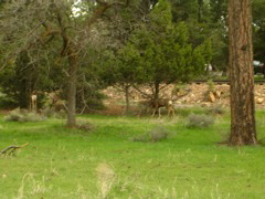 DSCN0834.JPG