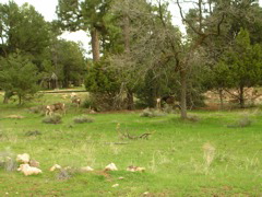 DSCN0836.JPG