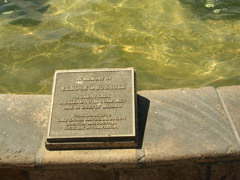 DSCN0868.JPG