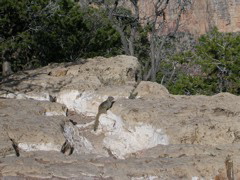 DSCN0637.JPG